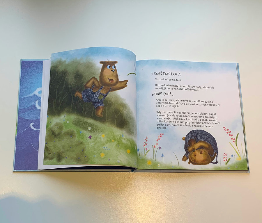 Otevřená kniha zobrazuje ilustraci medvěda v lacláčích v lesní krajině. Kniha: „O medvídkovi, co neuměl plavat, ale naučil se číst“.