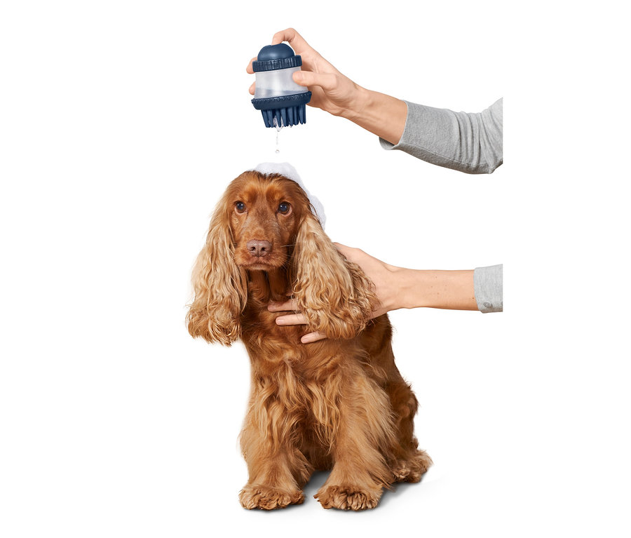 Hnědý kokršpaněl se myje kartáčem na mytí zvířat.