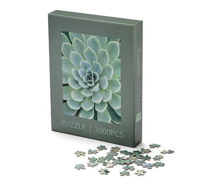 Balení puzzle »Sukulenty« a několik dílků puzzle leží na bílém pozadí.