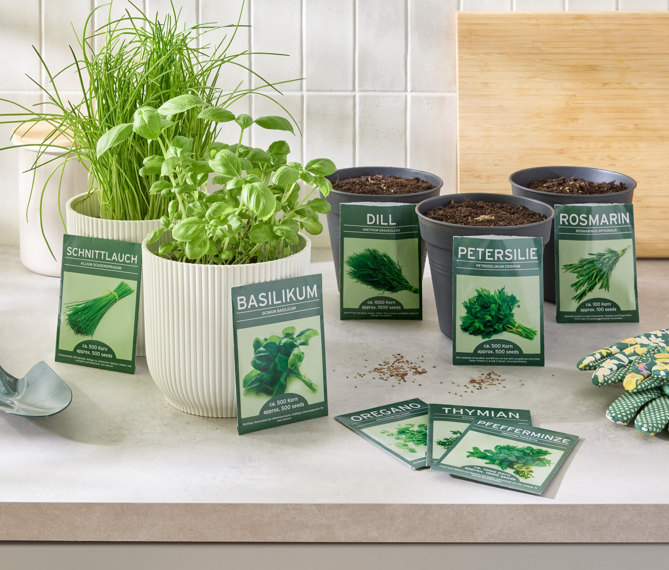 Bylinky Klasické bylinky, 8 druhů v květináčích a semínka na stole s rukavicemi a lopatkou.