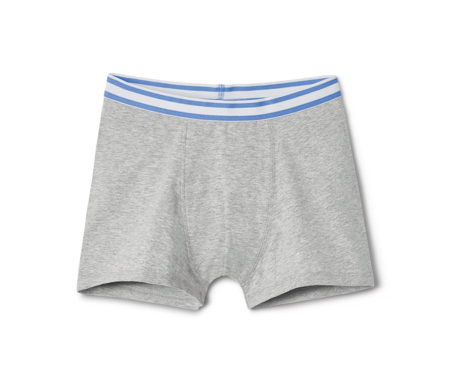 Šedé chlapecké boxerky s modrým a bílým pruhovaným pasem.