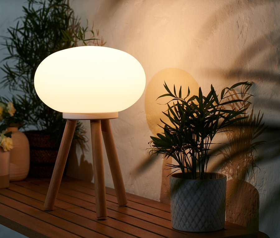 LED stolní lampa na baterie s nohami z masivního dřeva stojí na dřevěném stole vedle rostliny v květináči.
