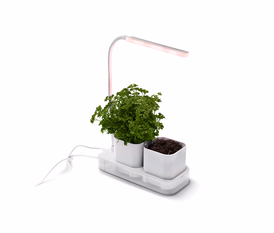 Bílá lampa na pěstování rostlin s květináči, z nichž v jednom je zelená rostlina a v druhém hlína.