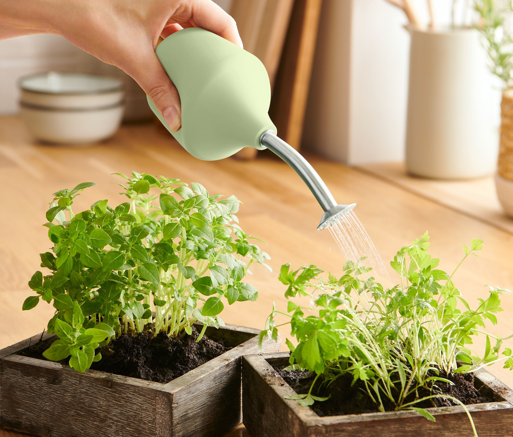 Ruka zalévá Zahradní postřikovačem dvě rostliny v dřevěných květináčích.