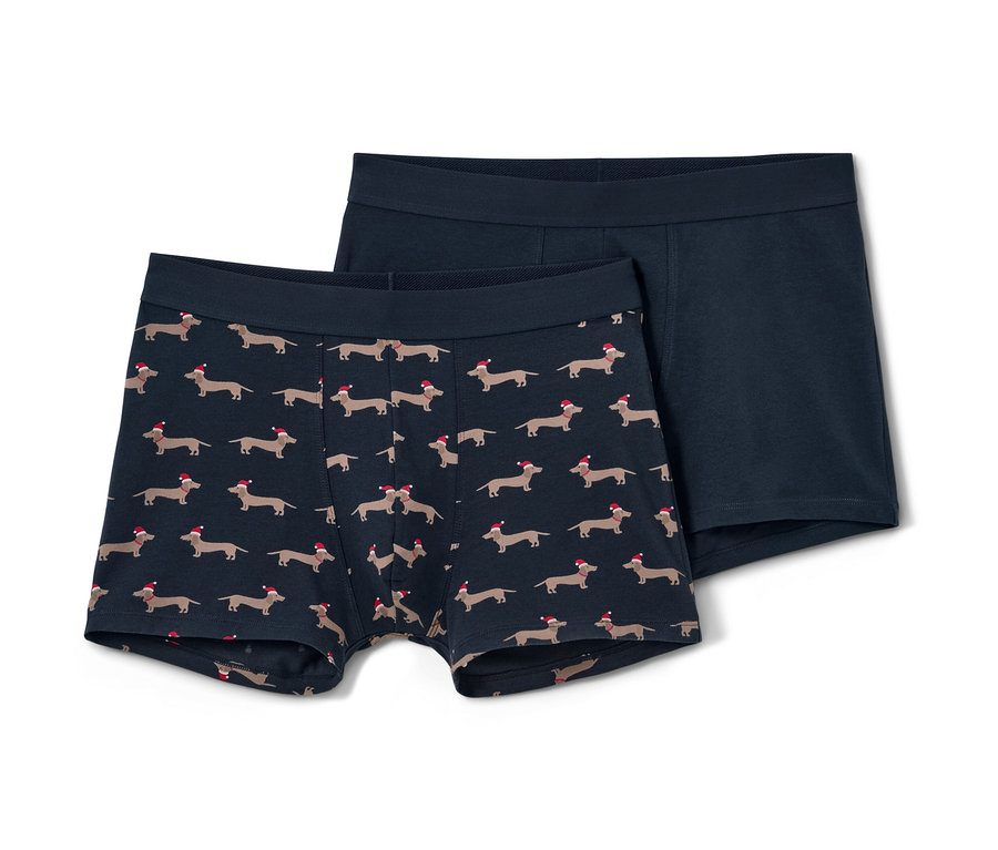 Dvoje boxerky: jedny s potiskem jezevčíků v čepici, druhé modré.