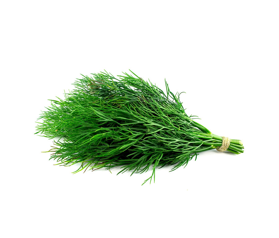 Svazek zeleného kopru Klasické bylinky, 8 druhů, svázaný motouzem.