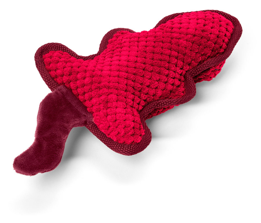 Červená hračka pro psy ve tvaru ryby leží na bílém pozadí.