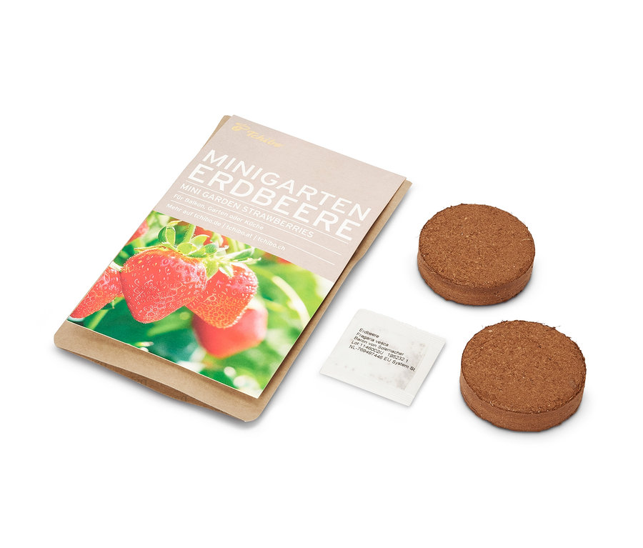 Mini zahrádka v papírovém sáčku s jahodami, dvě hnědé tablety a sáček semen.
