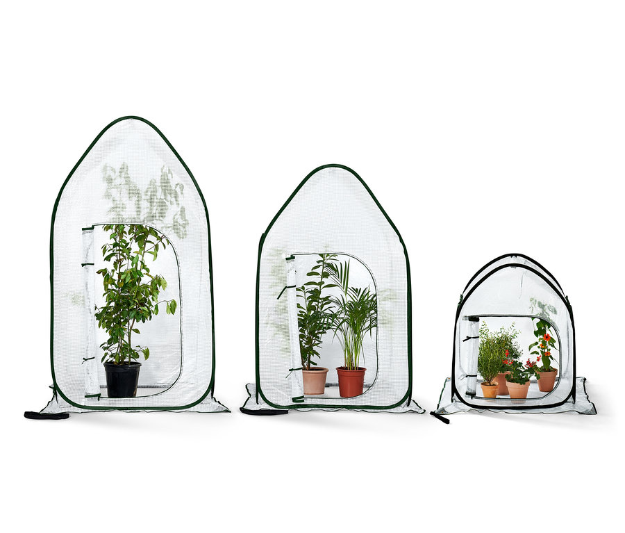 Tři malé skleníky různých velikostí s rostlinami uvnitř.