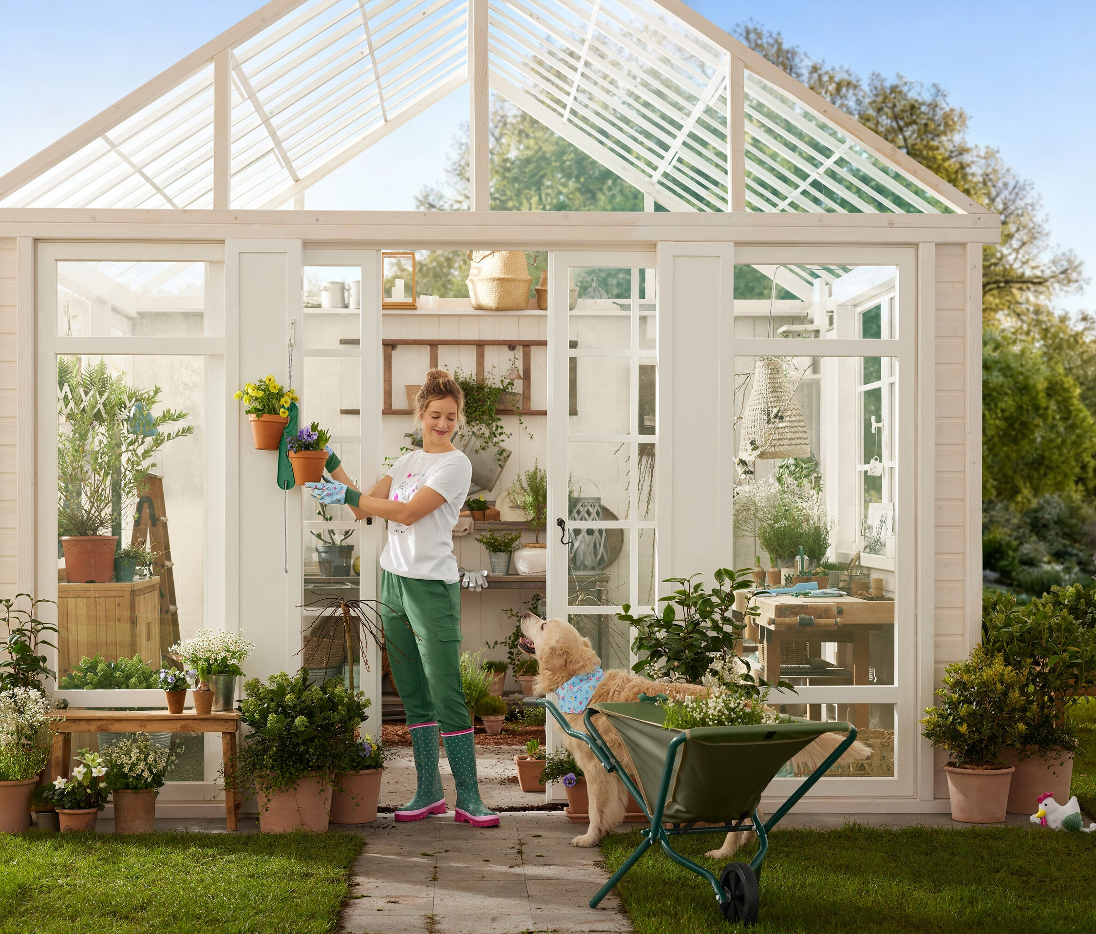 Žena v zahradnických rukavicích věší květináče na skleník, zatímco pes stojí vedle kolečka.