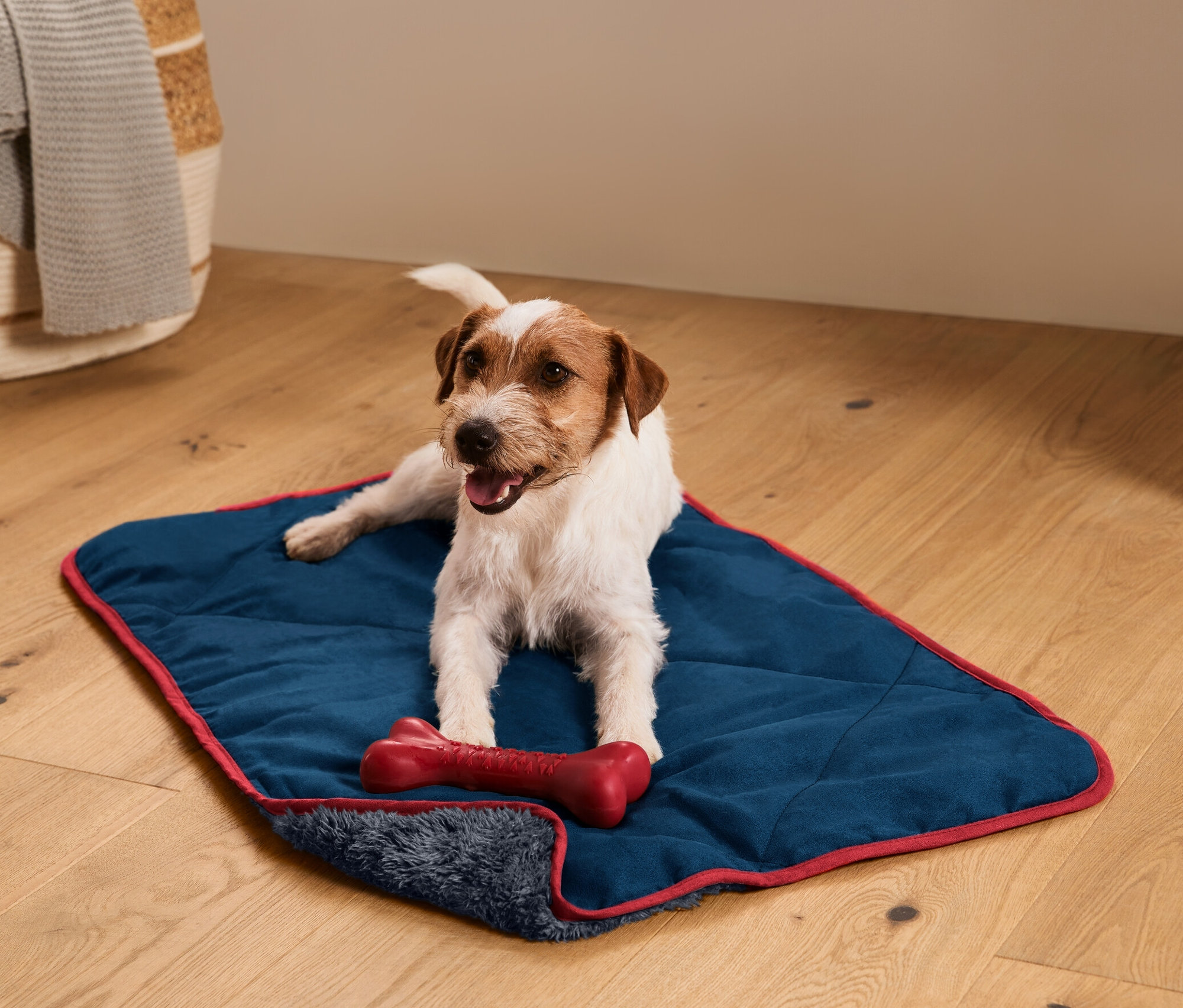 Jack Russell teriér leží na hebké dece pro psy s červenou kostí.