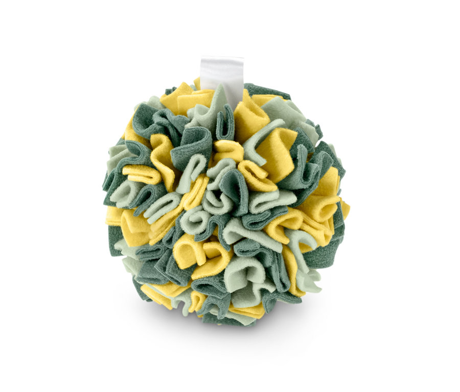 Čichací míček pro domácí mazlíčky v zelené a žluté barvě.