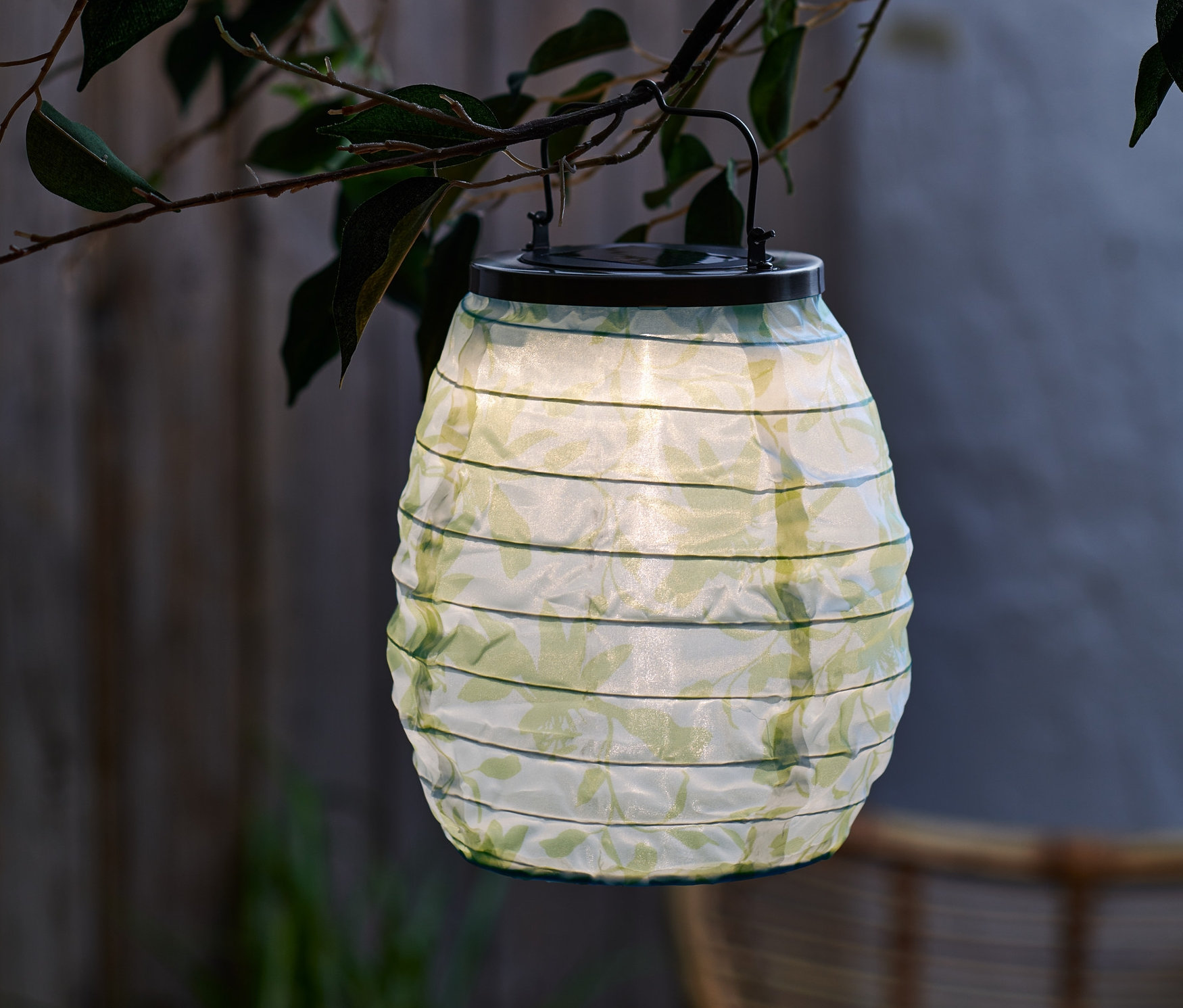 Zelený solární lampión visí na větvi stromu.