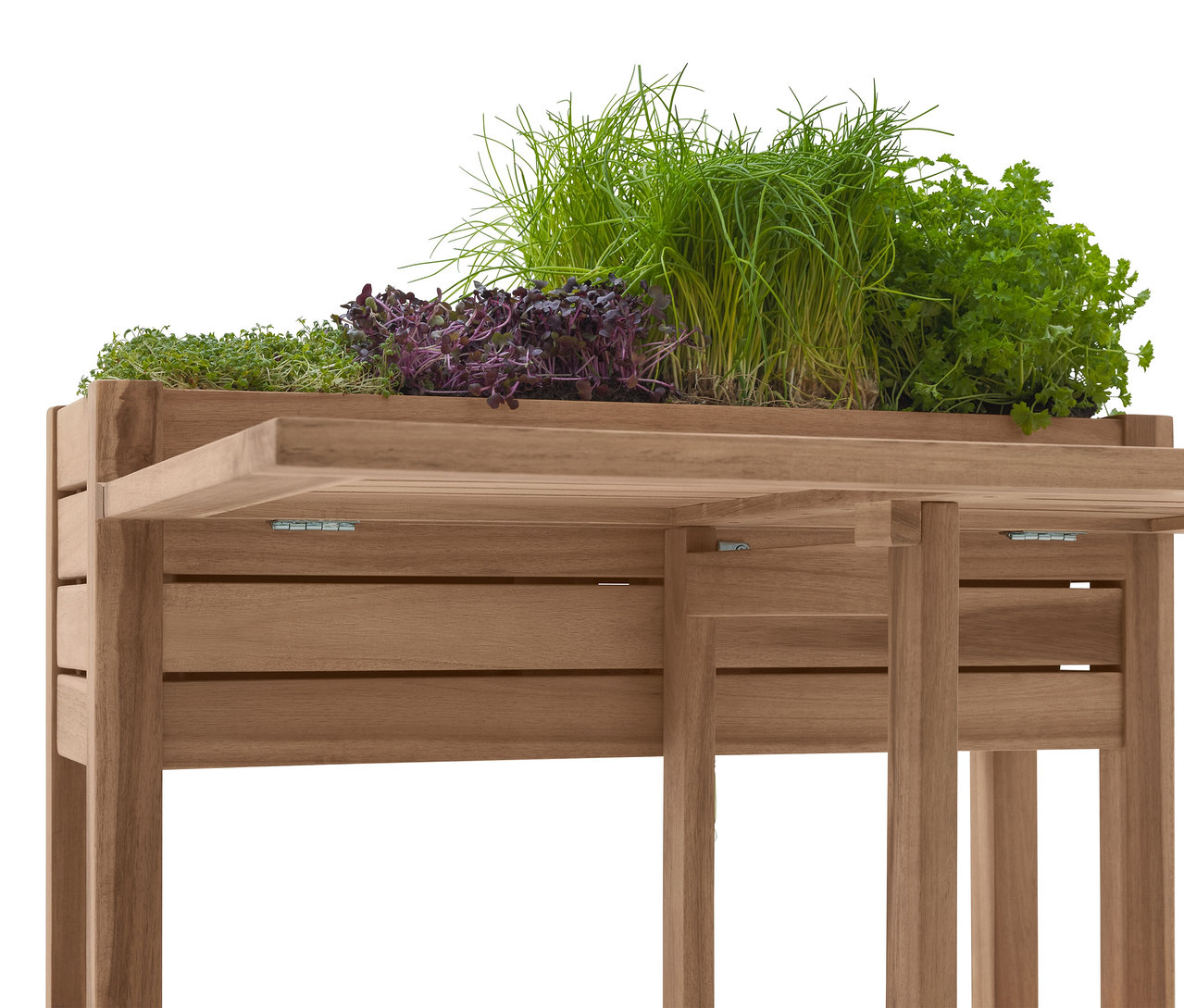 Detailní záběr na dřevěný stůl na sázení s různými bylinkami, včetně pažitky a petrželky.