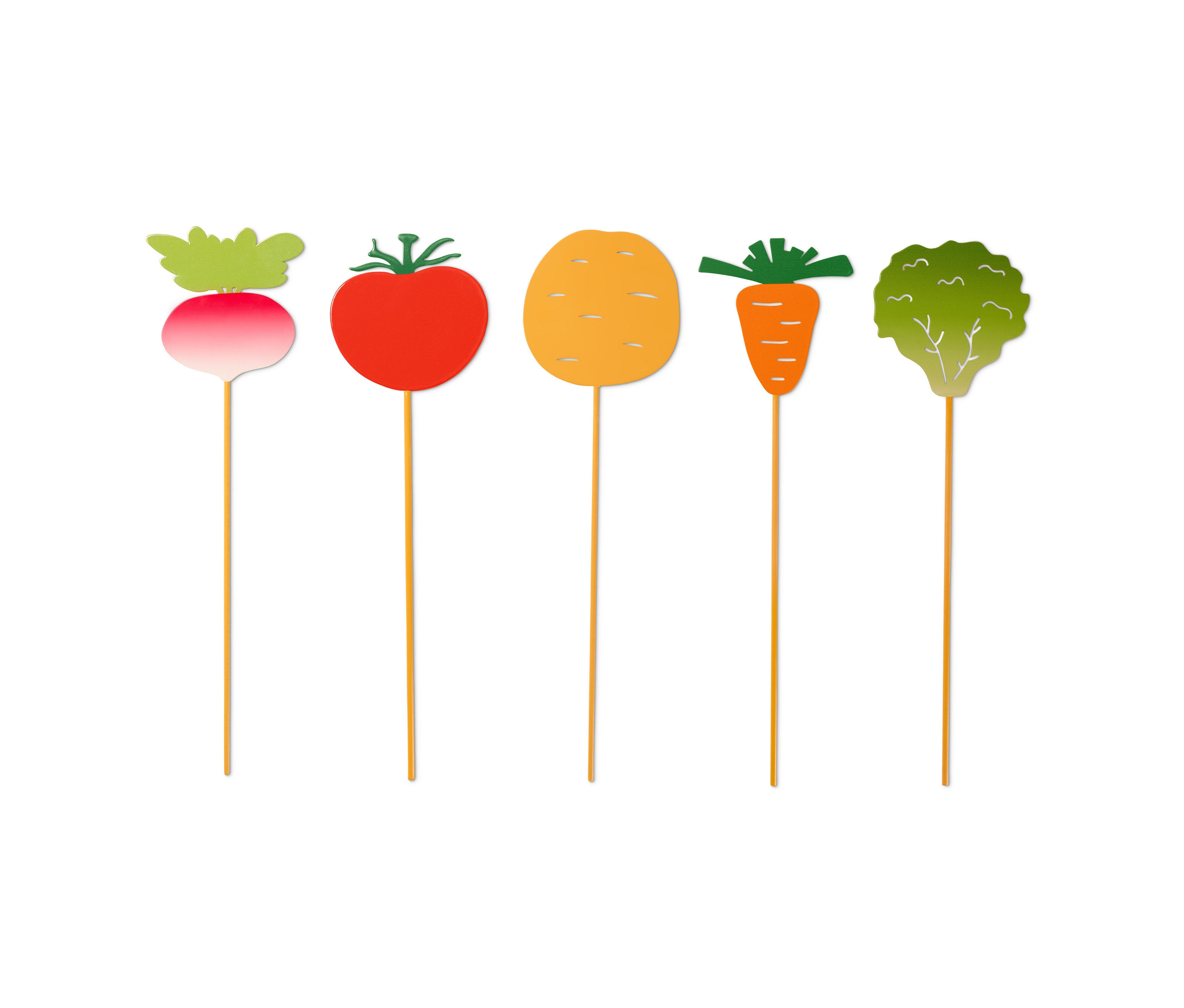 Pět zahradních zápichů Zelenina: ředkvička, rajče, brambora, mrkev a brokolice.