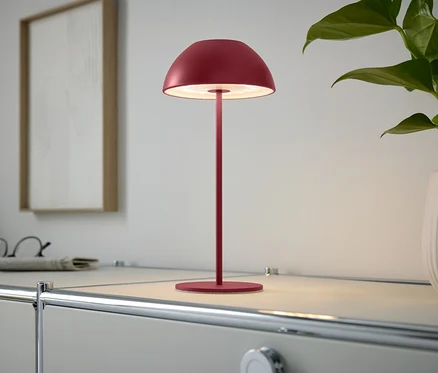 Červená lampa stojí na skříňce vedle pokojové rostliny.