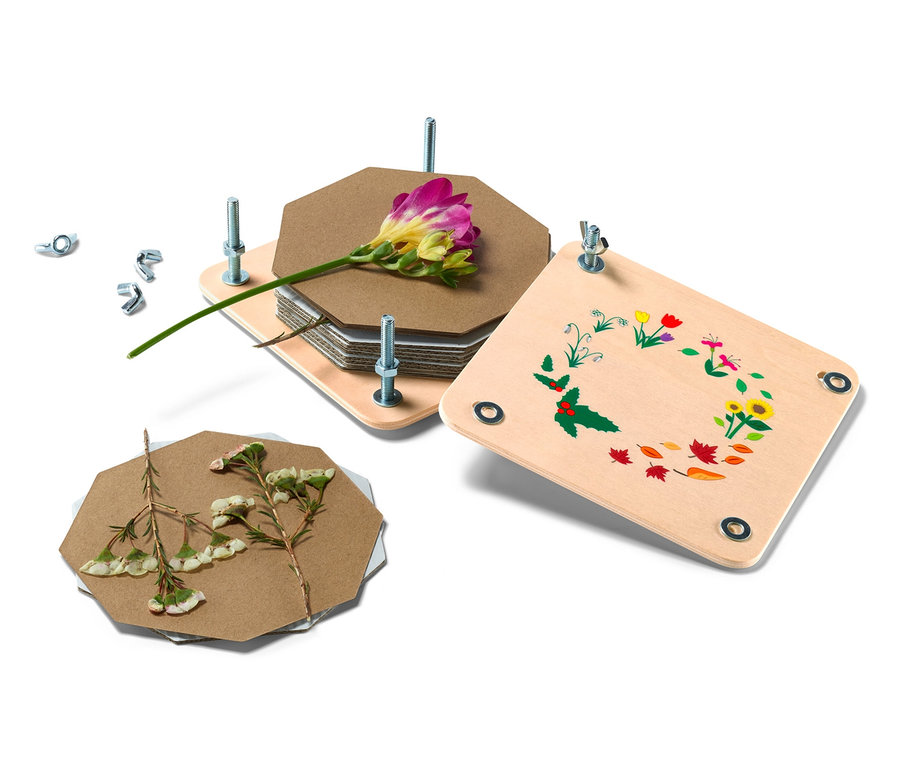 Květiny a listy v lisu na květiny a listy rostlin.