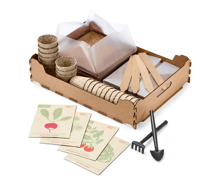 Sada pro předpěstování rostlin v interiéru s květináči, semínky a nástroji.