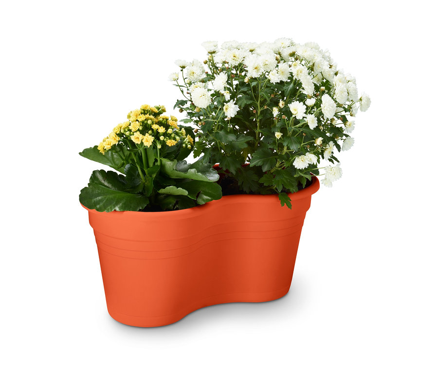 Žluto-bílé květy v oranžovém dvojitém květináči k zavěšení na balkón.