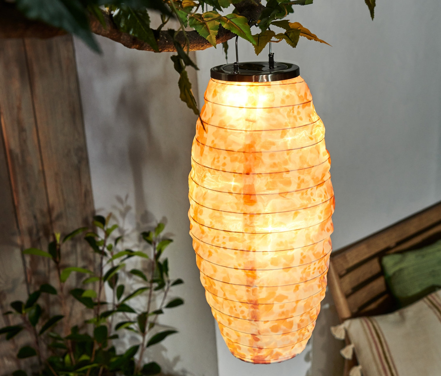 Zavěšený solární lampión na stromě.