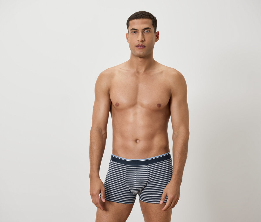 Muž s odhalenou horní částí těla pózuje ve spodkách s modrými a bílými proužky.