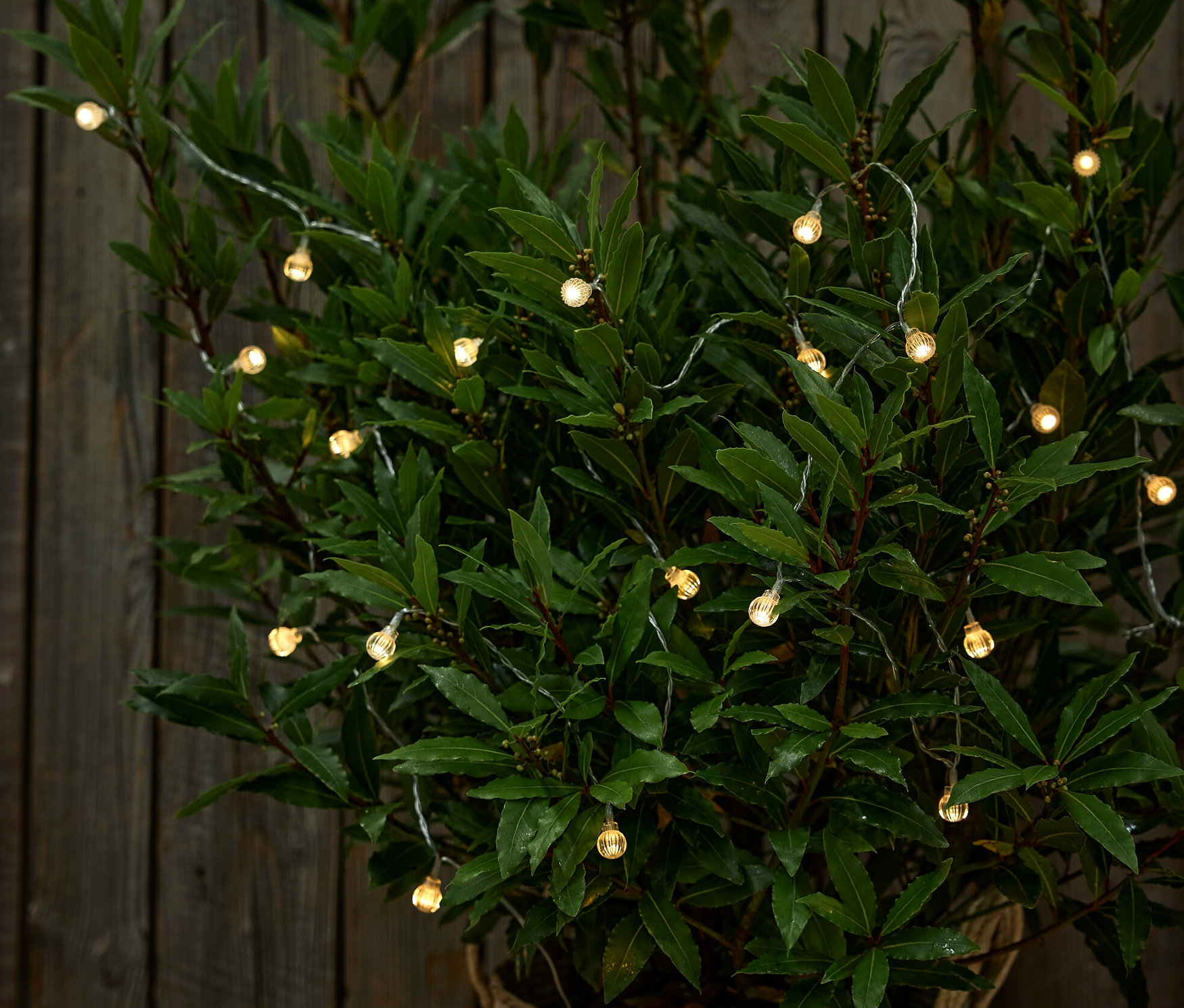 Solární světelný řetěz s kuličkami ovinutý kolem rostliny v hnědém květináči.