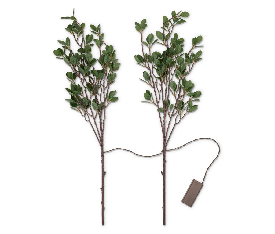 Dvě větvičky s malými zelenými lístky spojené kabelem s pouzdrem na baterie.