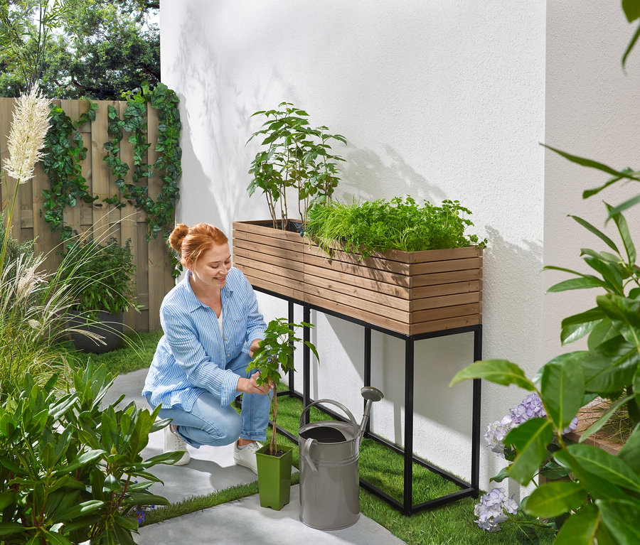 Žena klečí v zahradě a sází sazenici vedle vyvýšeného záhonu s bylinkami, konve a květináče.