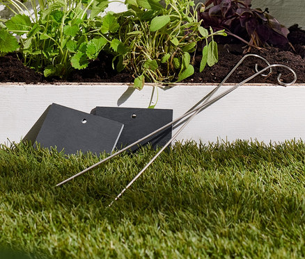 Záhon s rostlinami označenými břidlicovými označovači záhonů.