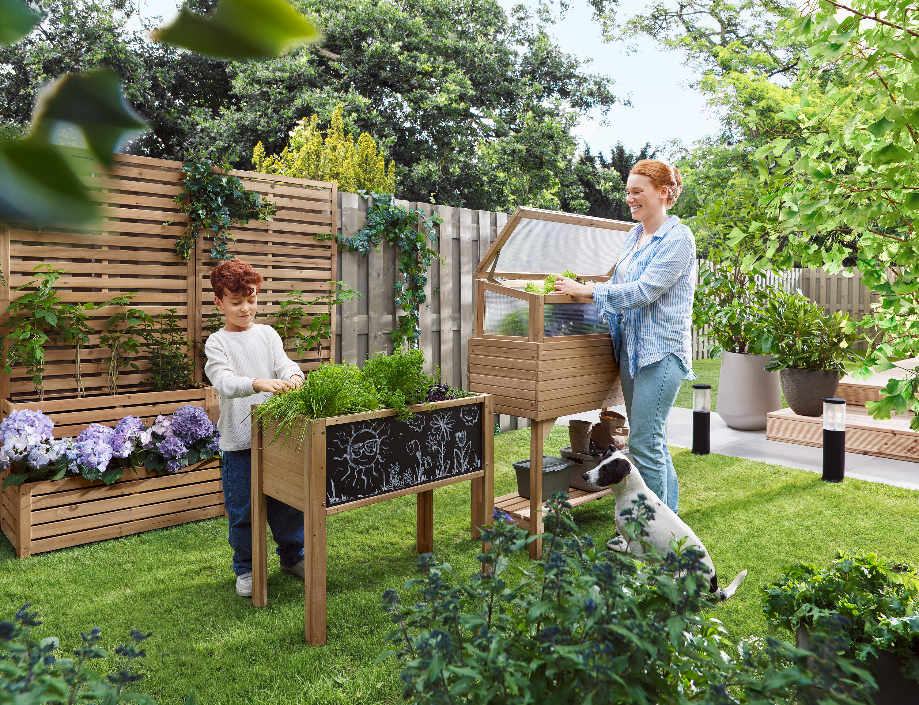 Žena otevírá pařeniště, zatímco dítě stojí vedle vyvýšeného záhonu. Pes sedí v trávě.