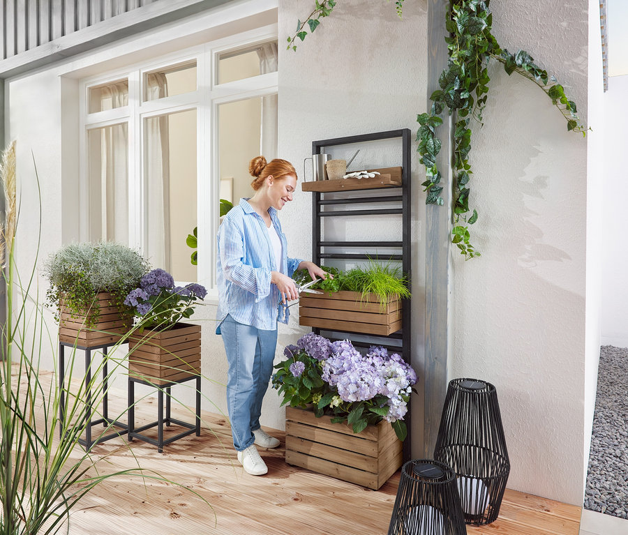 Žena stříhá zelenou rostlinu v dřevěné bedně na polici. Venku stojí dřevěné květináče s rostlinami a fialovými květy.