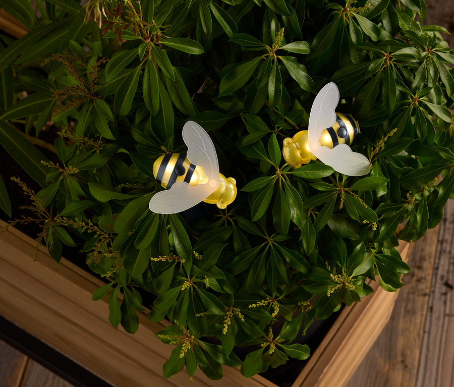 Dvě žluté a černo-bílé včely s průsvitnými křídly uprostřed zelených listů v dřevěné krabici.