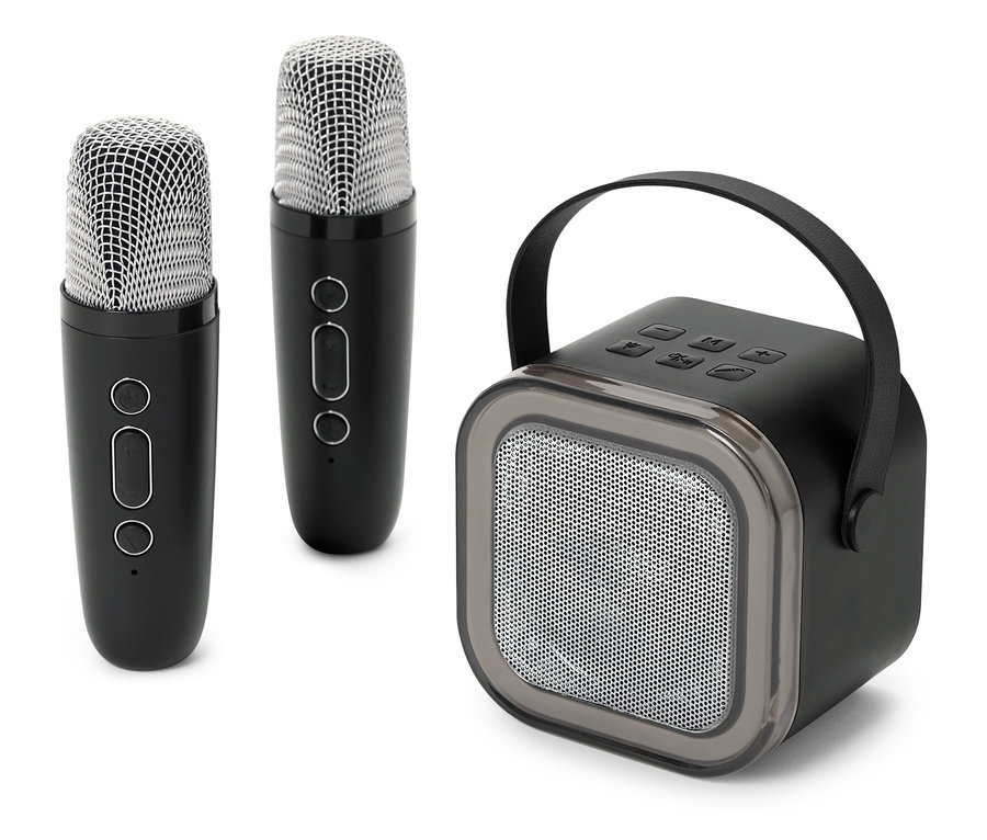 Dva mikrofony a jeden černý reproduktor na bílém pozadí.