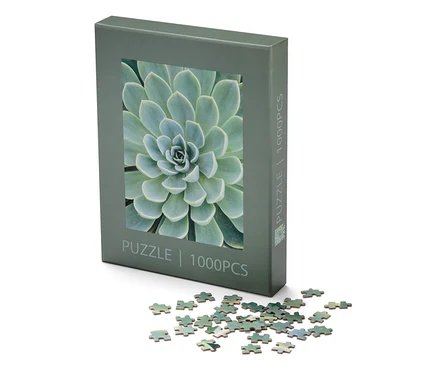Balení puzzle »Sukulenty« a několik dílků puzzle leží na bílém pozadí.