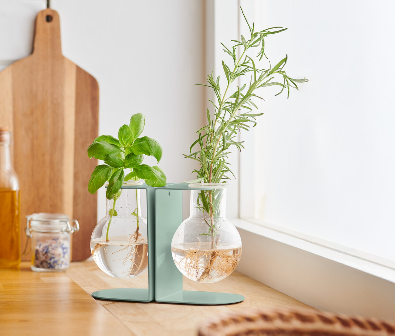 Bazalka a rozmarýn ve stanici na odkládání na kuchyňské lince.