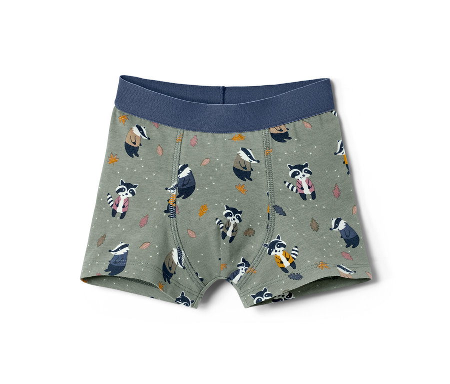 Zblízka zobrazené chlapecké boxerky, 7 ks, s potiskem mývalů a jezevců na olivově zeleném pozadí.