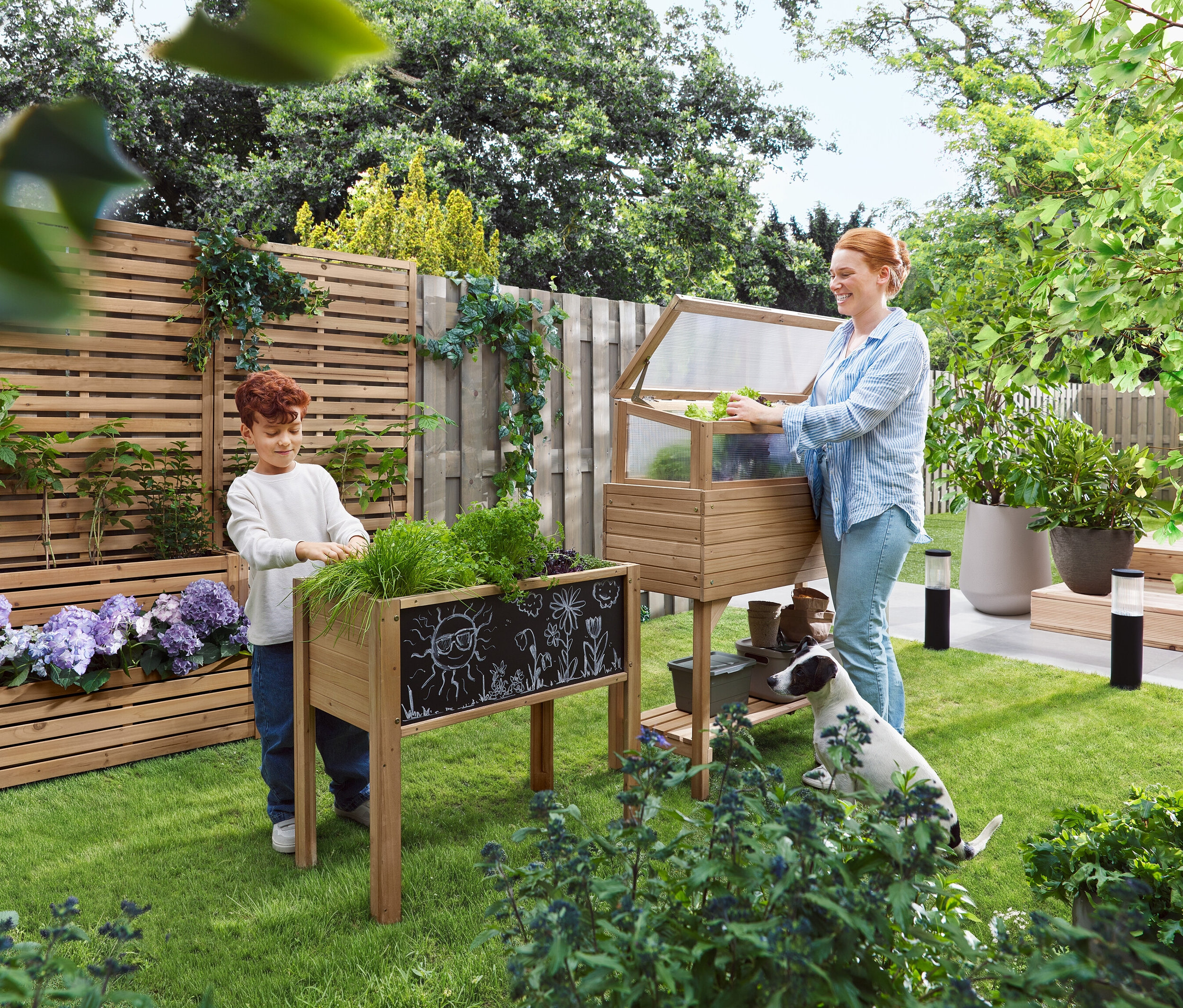 Žena otevírá pařeniště, zatímco dítě stojí vedle vyvýšeného záhonu. Pes sedí v trávě.