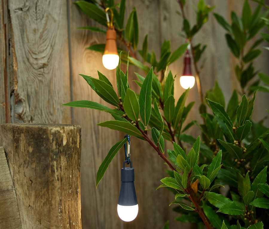 Tři LED dekorativní světla visí na větvích keře před dřevěným plotem.