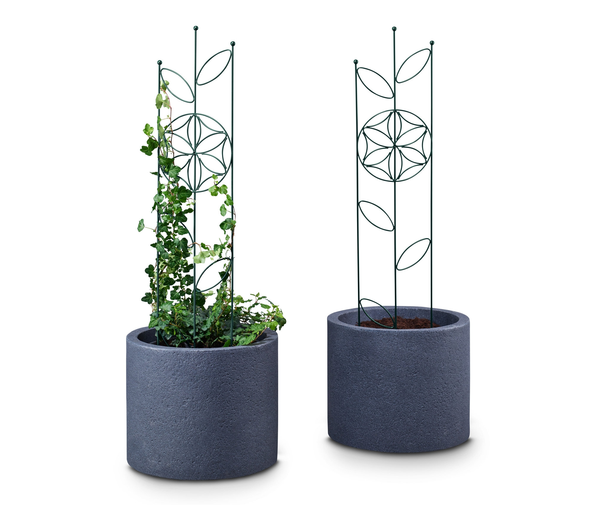 Dva ozdobné podpěry na popínavé rostliny v šedých květináčích, na jedné popínavá rostlina.