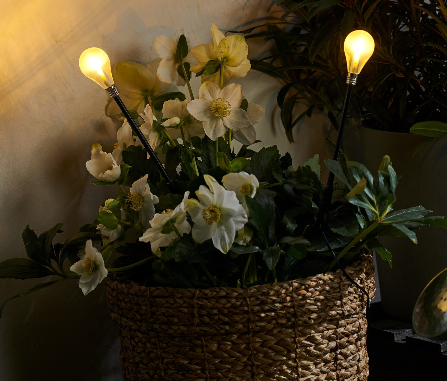 Květináč s bílými květy a dvěma světelnými zápichy s LED.