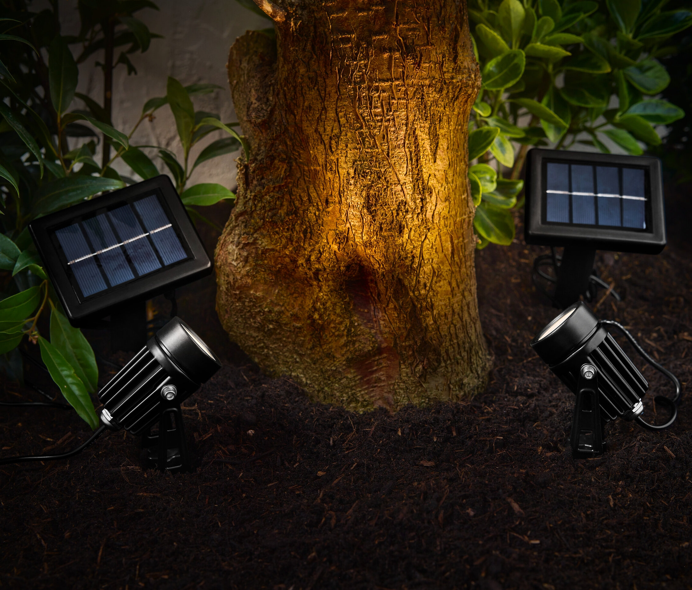 Dva solární reflektory osvětlují kmen stromu v zahradě.