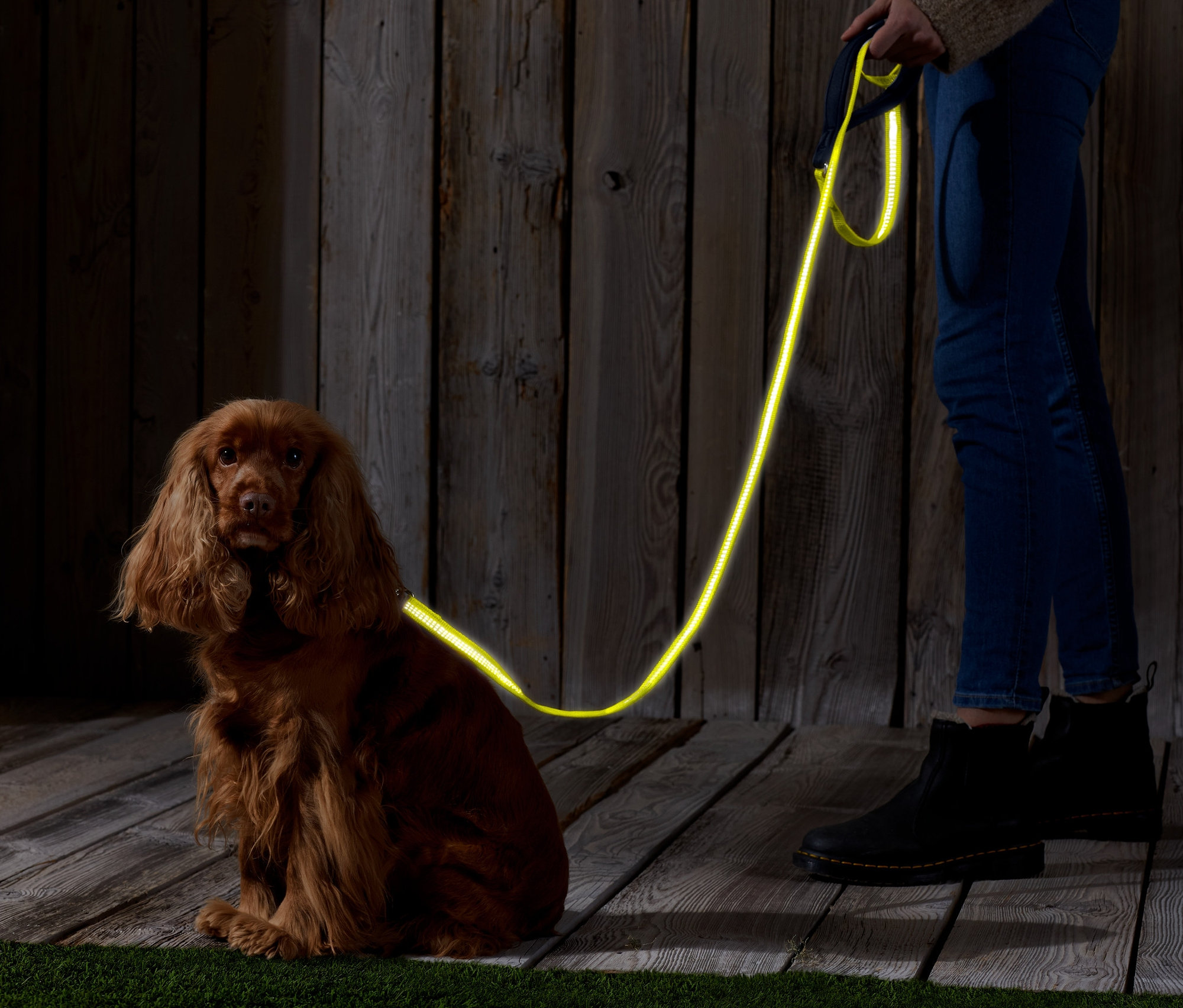Hnědý kokršpaněl sedí vedle osoby držící vodítko pro psy s reflexními prvky.