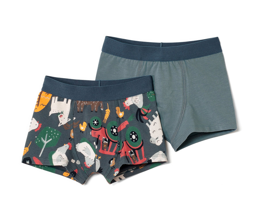 Dvoje chlapecké boxerky. Jedny boxerky jsou s potiskem zvířat a traktoru, druhé jsou modré.