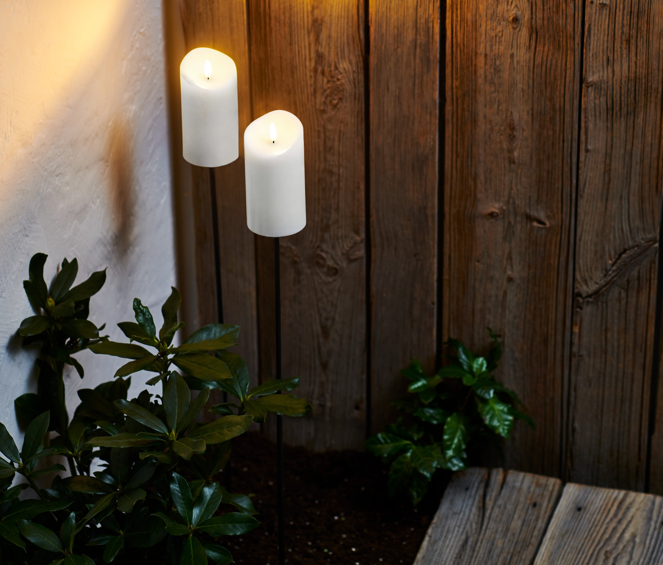 Dvě LED pochodně z pravého vosku osvětlují dřevěnou stěnu a rostliny.