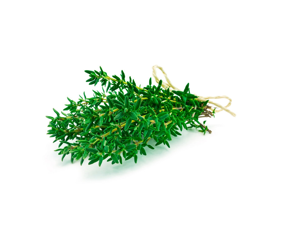 Svazek klasických bylinek, 8 druhů, svázaný provázkem.