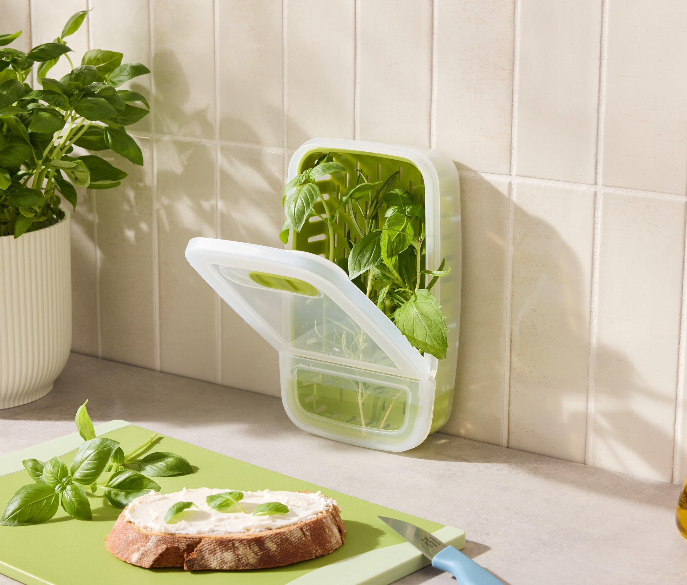 Na lince je bazalka v květináči, nádoba s bazalkou, chléb s bazalkou a olej.