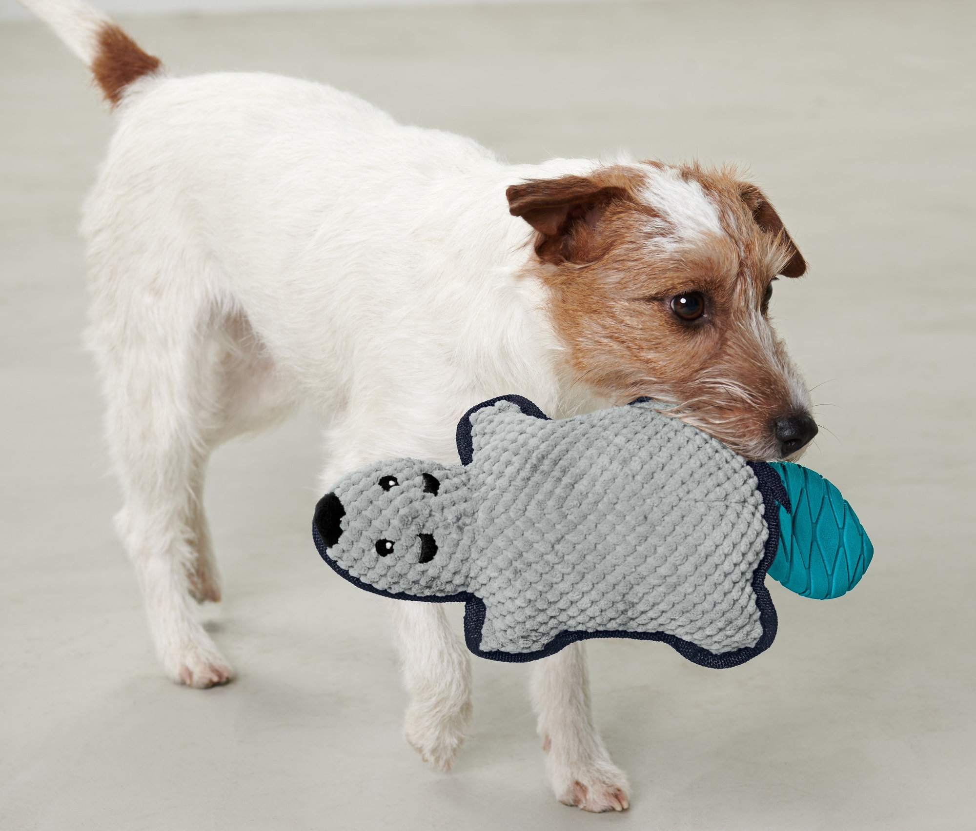 Pes drží v tlamě plyšovou hračku pro psy »Bobr«.