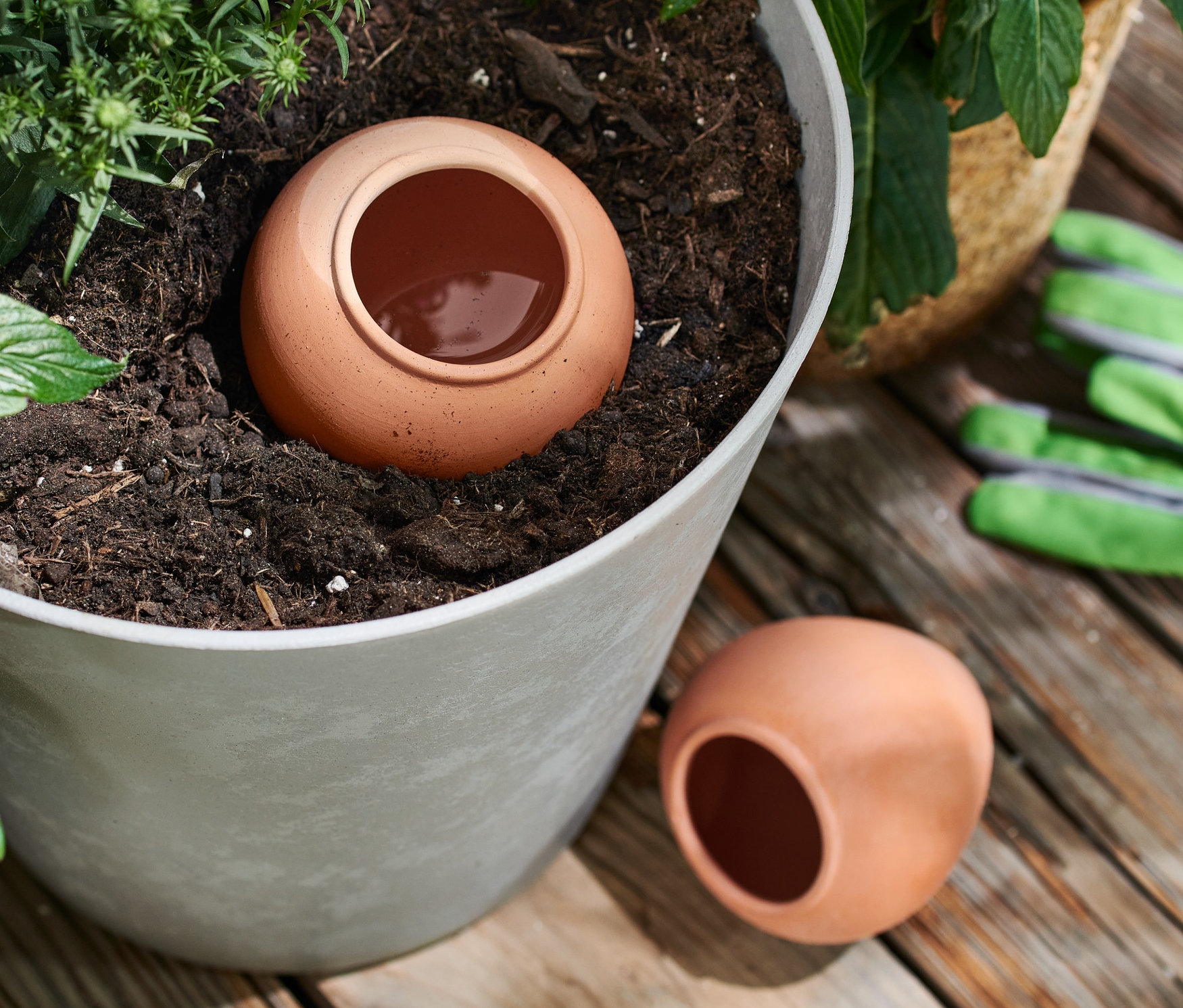 Hliněný pomocný zavlažovač je umístěn v květináči s rostlinami, další leží vedle květináče.