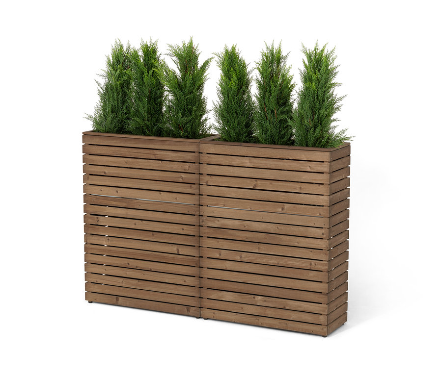 Dva prvky k rozčlenění prostoru s truhlíkem »Tinus« s jehličnatými stromy.