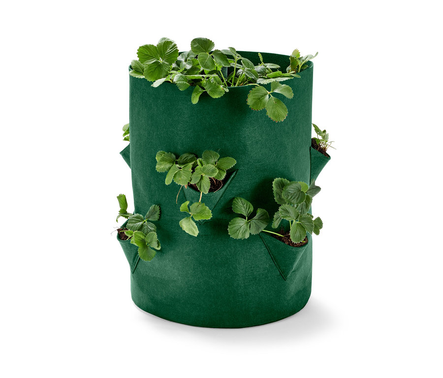 Zelená taška na pěstování jahod s rostlinami.